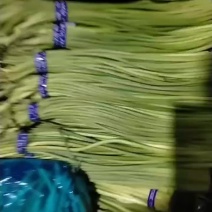 山东红帽蒜苔库存蒜苔一手货源量大优惠随到随装