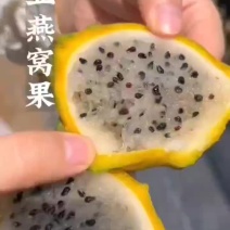 燕窝果大量供应，供应全国，全国空运物流包送到家，