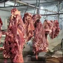 纯干无水牛肉全国发货