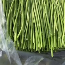 2026新上市青芦蒿黎蒿优质精品批发！