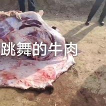纯干无水牛肉，精修去油，每天现宰