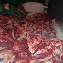 黄牛肉，纯干无水每天现宰