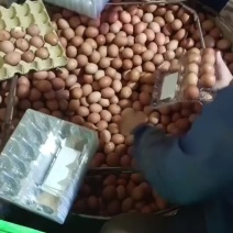 麻酱鸡蛋，散装，团购，电商，批发，欢迎各界老板朋友前咨询
