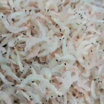 批发各种淡干无盐虾皮