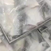鲢鳙中段