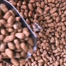 河源忠信红泥花生带壳特产香脆可口红壳花生蒜香原味小吃零食
