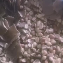 纯花生油，假一赔十