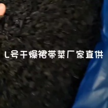 L号干燥裙带菜电商社区团购长家直供