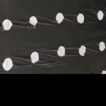 打孔地膜批发黑色白色