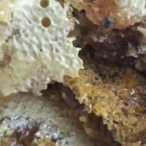 【新鲜百花蜜，******，健康美味】