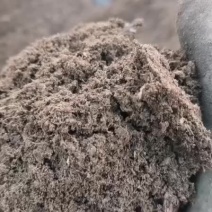 甘肃古浪黄花滩发酵纯羊粪专业生产厂家，厂价直销，全国发货