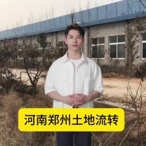 中牟县2000余平米农产品分拣中心仓库出租
