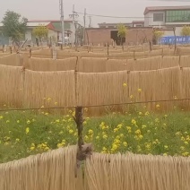鸿胜粉条厂