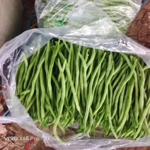 无丝豆豆王，莘县产区，支持视频看货