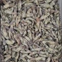 蛏子肉，蛏子王，无沙，开嘴，一斤25个，20个冰，可微冰