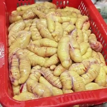 鲈鱼籽