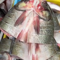 鲢鱼头半成品