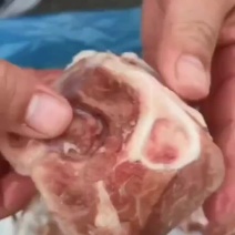 去皮小肘子