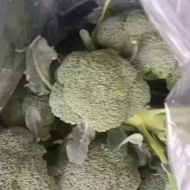 西兰花工厂货电商超市通通接单中