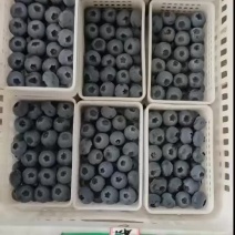 L25H5云雀精品大果特果