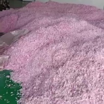 关山樱花瓣