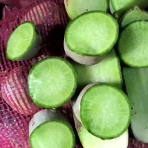 水果萝卜