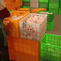 春见耙耙柑四川柑橘诚信经营量大从优欢迎咨询