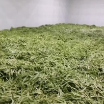 扁青芸豆电商货。各大产区长期供应，保质保量，需要的联系