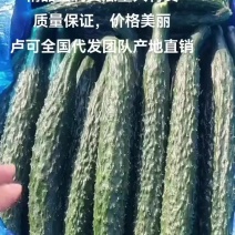 蜜刺精品黄瓜，大量有现货，质量保证价格不高，卢可全国代发
