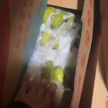 不受寒纯三把精品香蕉