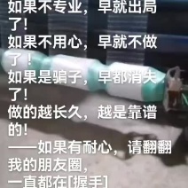 防鸟网，定制加工，尺寸可调，厂家直销，价优质好，质量保证