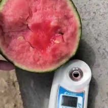 冰糖籽西瓜小糖丸西瓜2K小西瓜产地包装小工一条龙服务
