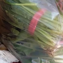 小葱