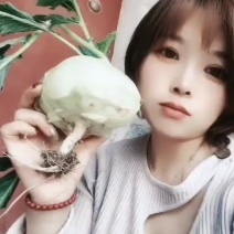 苤蓝