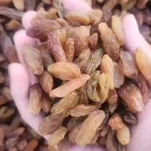 免洗香妃葡萄干