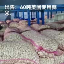 大量供应蒜米专用蒜.批发价管装车地址金乡县大蒜批发总部