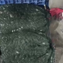 盘锦蟹苗，放生苗，油炸规格齐全成活率高提供技术指导