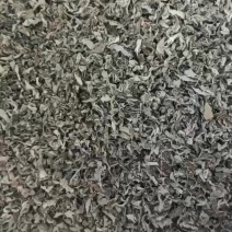 26年过筛选精品细叶藤茶无梗无沫无杂质，可视频看货