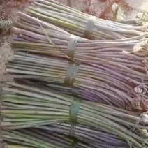 新鲜德州蕨菜，野生原产，美味可口