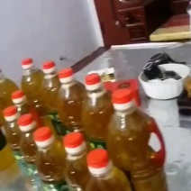 高山日照老桩山茶树（纯野生小果）山茶油价格美丽，需要联系
