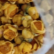 金花茶