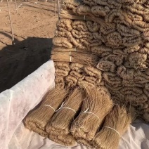 纯红薯粉条