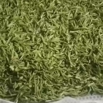 生态白茶