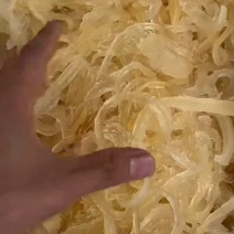 牙拣鱼翅，鱼翅条，牙拣肉翅，上汤鱼翅，鸡娲鱼翅