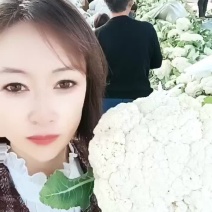河南散花有机花菜白面青梗松花菜大量上市，小米，2-3斤，