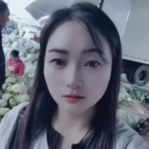 白面青梗小米粒有机松花菜2～3斤货源充足可视频看货