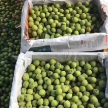 酸梅