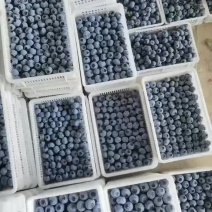 L25F6优瑞卡15+18+