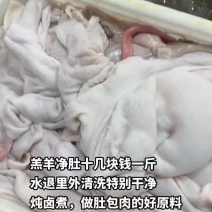 羔羊净肚十几块钱一斤