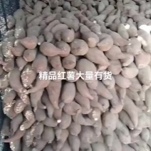 精品红薯